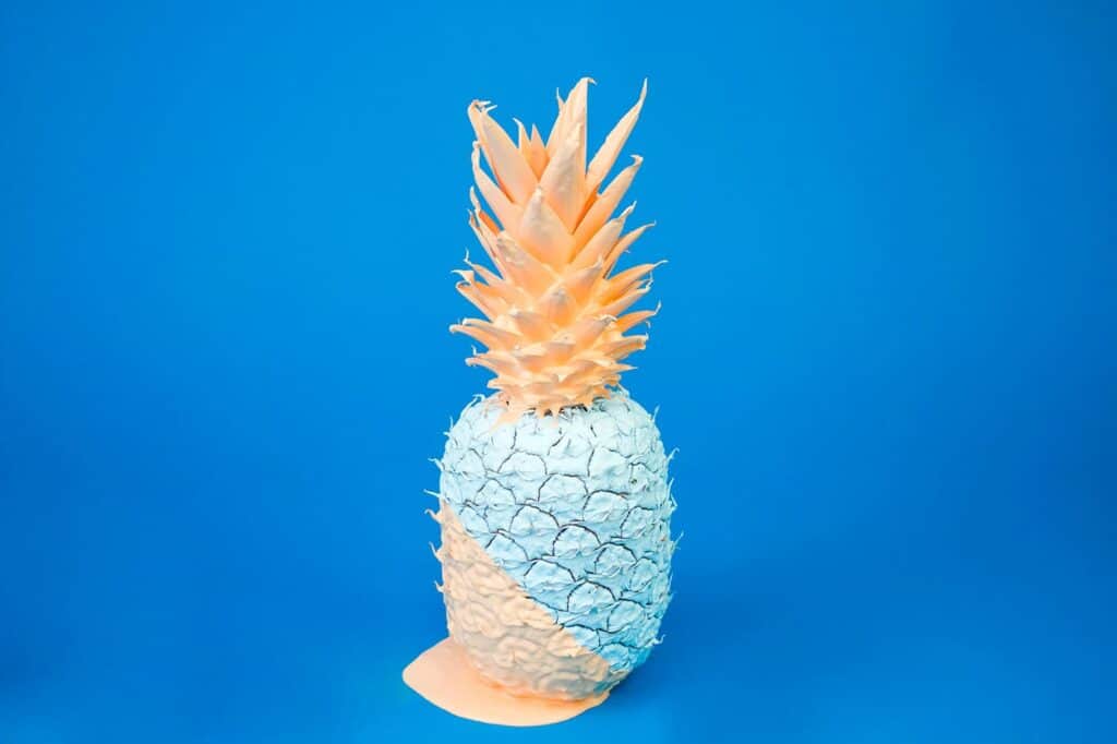 davisuko rhuu1pemhq0 unsplash 1024x682